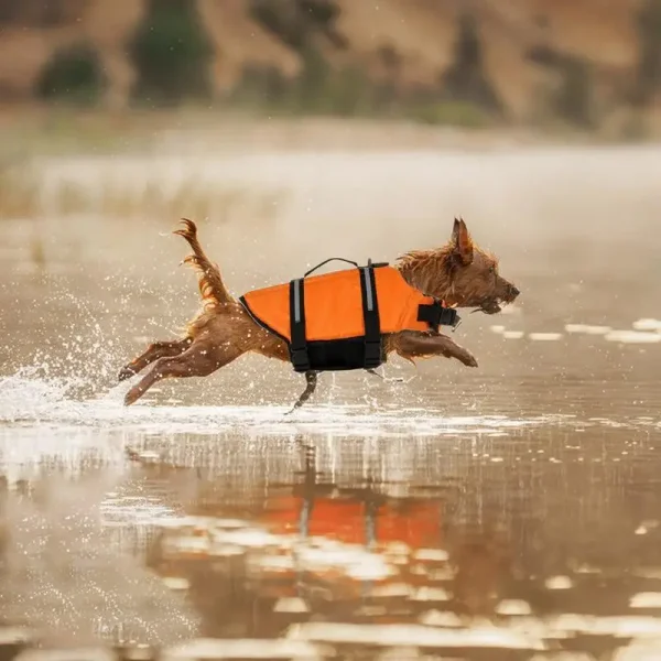 Dog Swim Vest