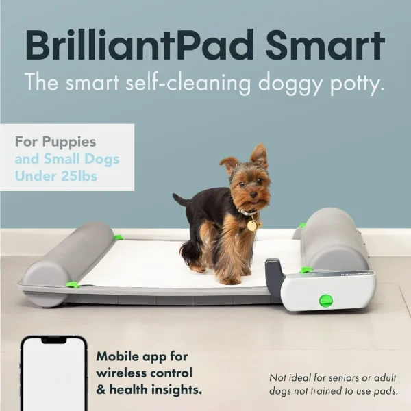 Self Cleaning Indoor Dog Potty