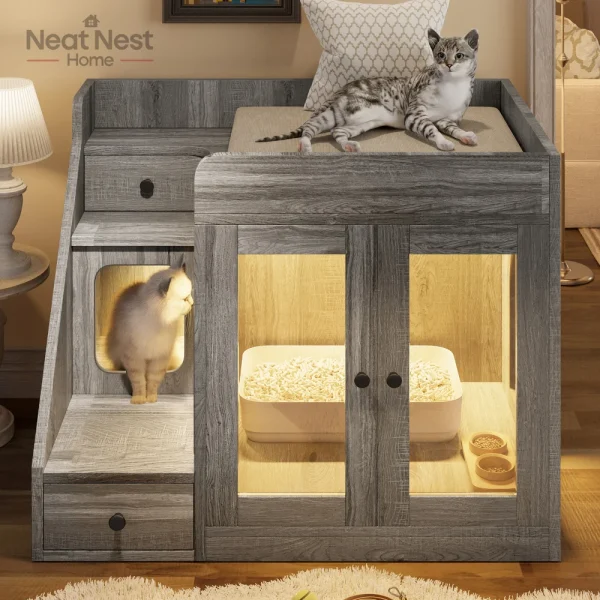 Indoor Cat House