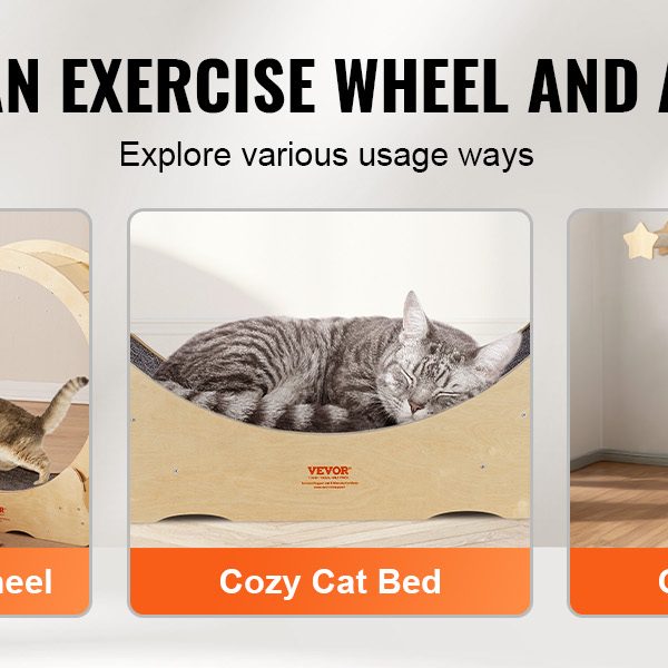 cat-exercise-wheel