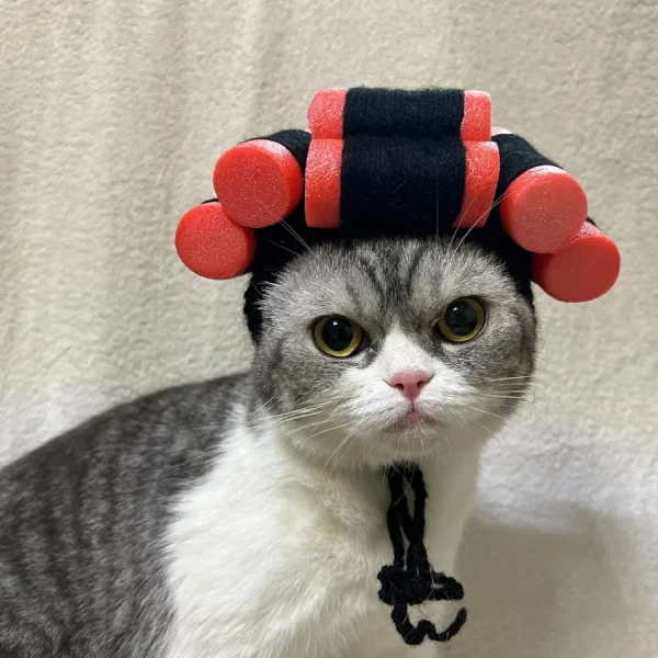 Curler Wig Costume for Cats or Dogs